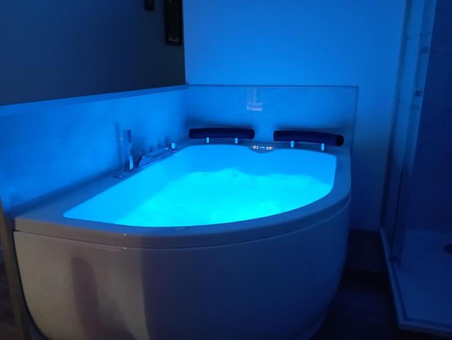 Sejour Sauna Et Jacuzzi Cocon 永河畔拉罗什 外观 照片